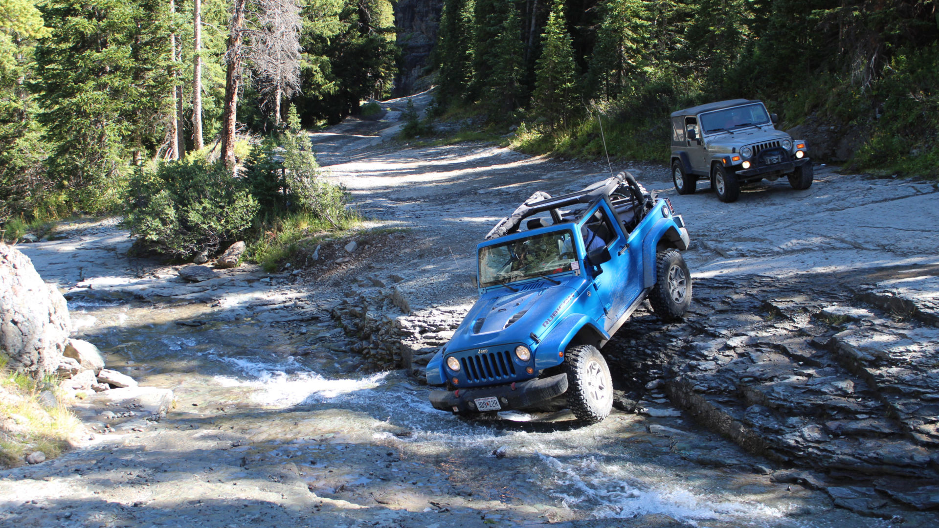 jeep jamboree
